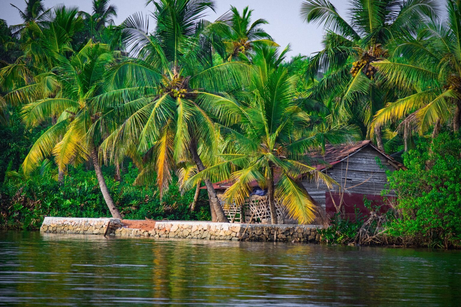 sanoojck-hut-7032759